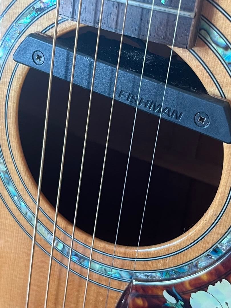 ノエルさん専用Rosso guitar エレアコ　ツリーオブライフ