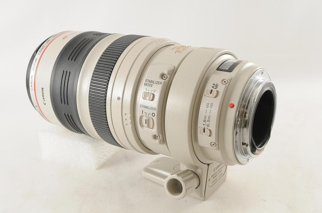 Canon キヤノン EF100-400mm F4.5-5.6L IS USM