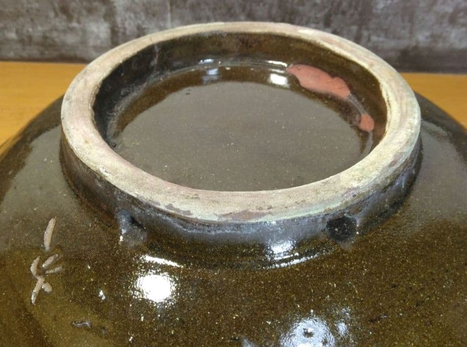 人間国宝 金城次郎 魚紋皿 栞 共箱 美品 壺屋焼 壷屋焼 やちむん