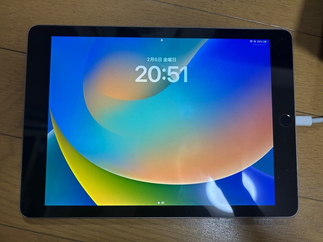 Apple iPad Pro 9.7 128GB WI-FI 動作確認済み