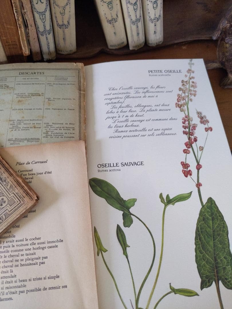 洋書、フランス、ナタン社植物図鑑